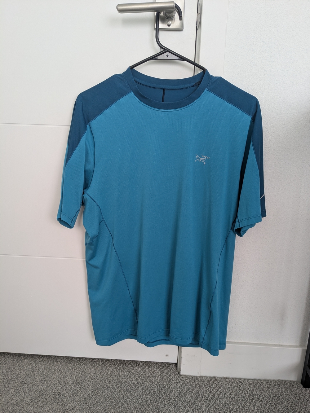 Arc'teryx Men's Hommes Active Shirt in Teal